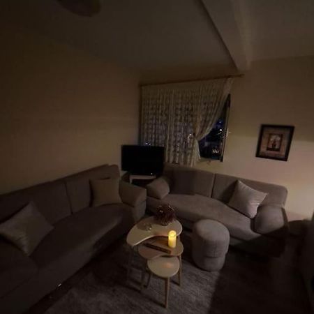 Quiet, Cozy, Luminous Apartment ティラナ エクステリア 写真