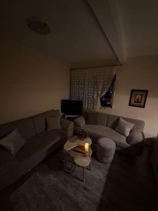 Quiet, Cozy, Luminous Apartment ティラナ エクステリア 写真